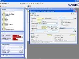 Les fenêtres de notre ERP, visuel très austère et carré, ambiance Windows XP et antérieurs.